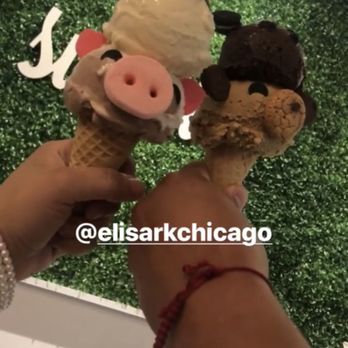 Eli's Ark - Double animal scoops - Gelato Near Me - Chicago, Illinois