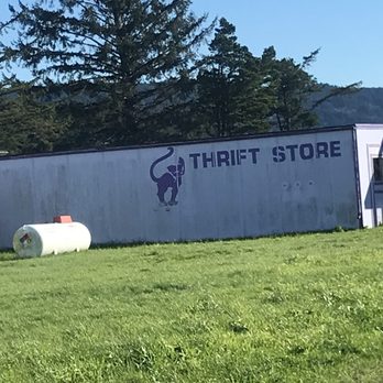 Purple Cat Thift Store - Thrift Stores Near Me - Crescent City, California Purple Cat Thift Store - Thrift Stores Near Me - Crescent City, California