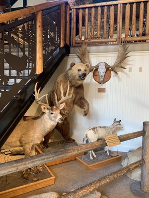 L.L.Bean Flagship by null