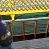 Mississippi Coast Model Railroad Museum gift card