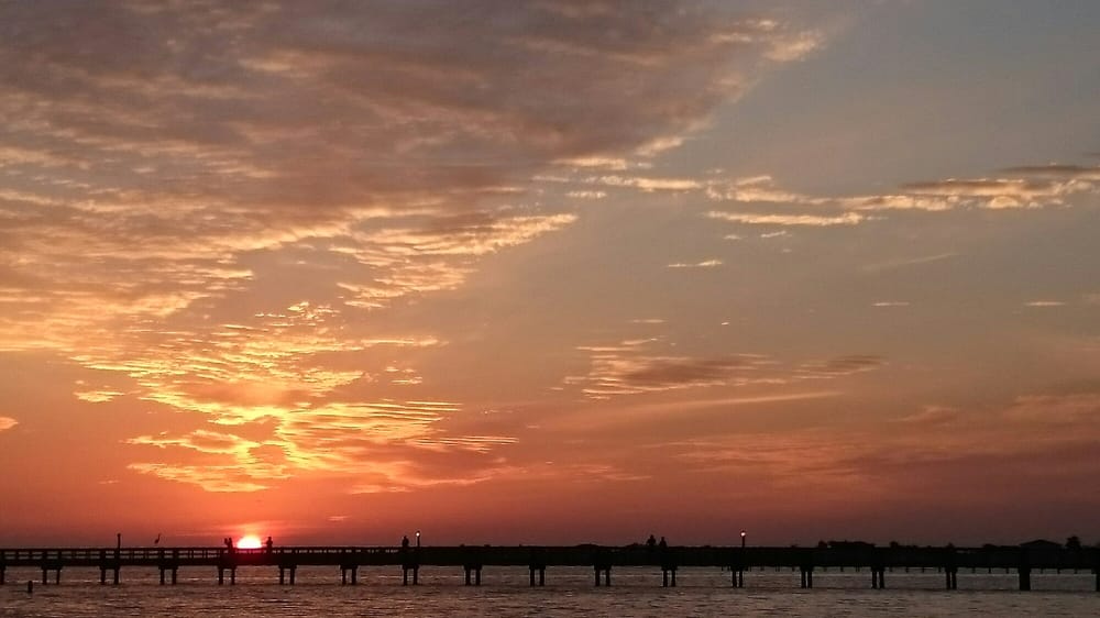 Bayshore Live Oak Park Image