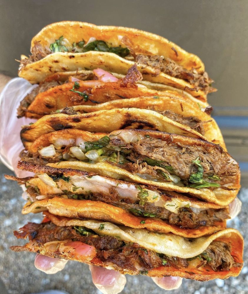 DRIPPED BIRRIA Updated October 2024 22 Photos & 20 Reviews 1731