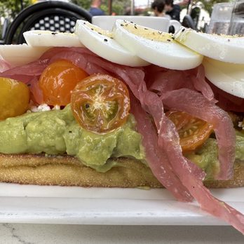 Goat Tree - Avocado toast!  I'm stuffed! - Cafes Near Me - Santa Barbara, California