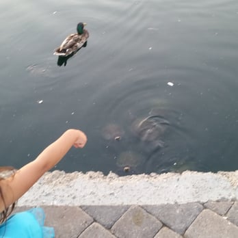 Bridgeport Marketplace - Turtles love kids. They want to get out of the pond - Shopping Centers Near Me - Valencia, California