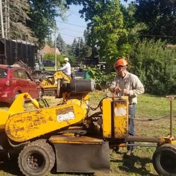Mountain Tree Service - Tree Services Near Me - West Dundee, Illinois Mountain Tree Service - Tree Services Near Me - West Dundee, Illinois