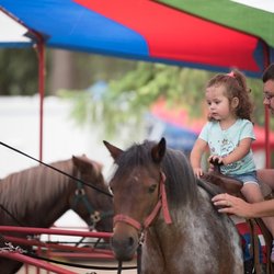 Pony Rides
