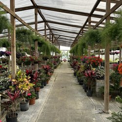 Redfearn's Nursery - Greenhouse with outside plants