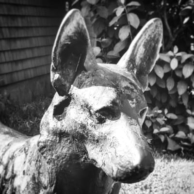Brucemore by null