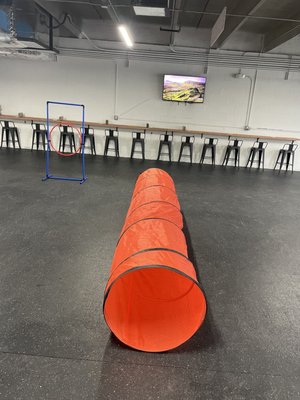 Snouts & Stouts - Dog Bar by null