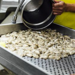 Jeri's Seafood