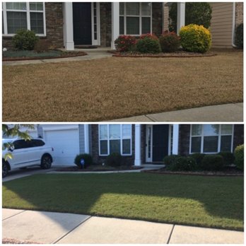 TruGreen Lawn Care - Tree Services Near Me - Suwanee, Georgia TruGreen Lawn Care - Tree Services Near Me - Suwanee, Georgia