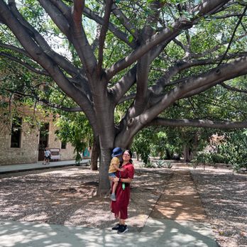 El Jardín Etnobotánico - Me and my little one - Botanical Gardens Near Me - Oaxaca, OAX