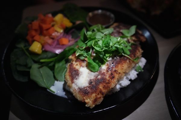 Down the Hatch Maui by null