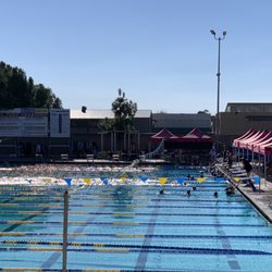 Swim meet warm up
