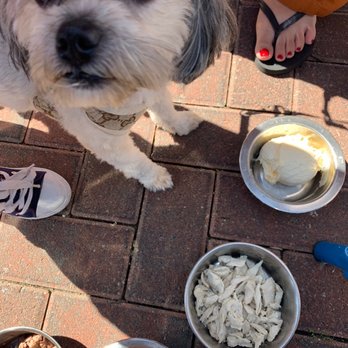 Flipside Burgers & Bar - Doggie menu - Burgers Near Me - Fairfield, Connecticut