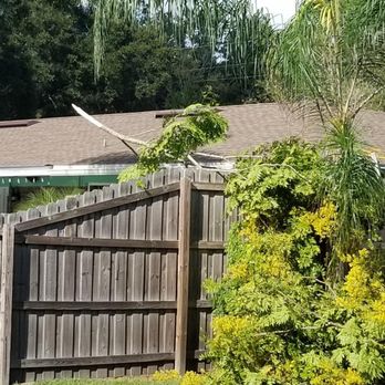 Lee's Trees - Tree Services Near Me