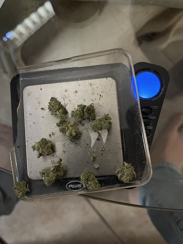 HARBOR COLLECTIVE Updated August 2024 90 Photos & 207 Reviews