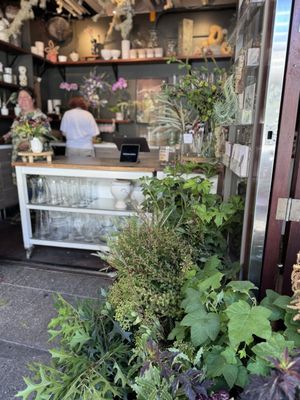 Wildflower & Fern by null