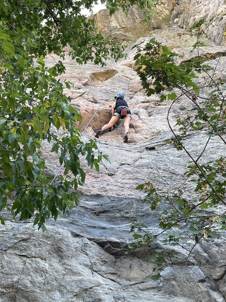 Denver Mountain Guiding Logo