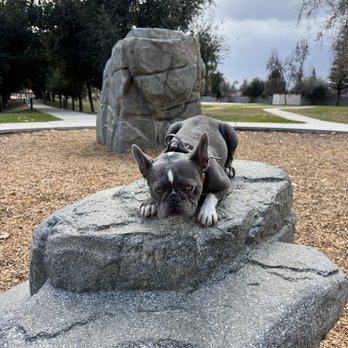 Off Leash K9 Training- Bay Area - Pet Training Near Me Off Leash K9 Training- Bay Area - Pet Training Near Me