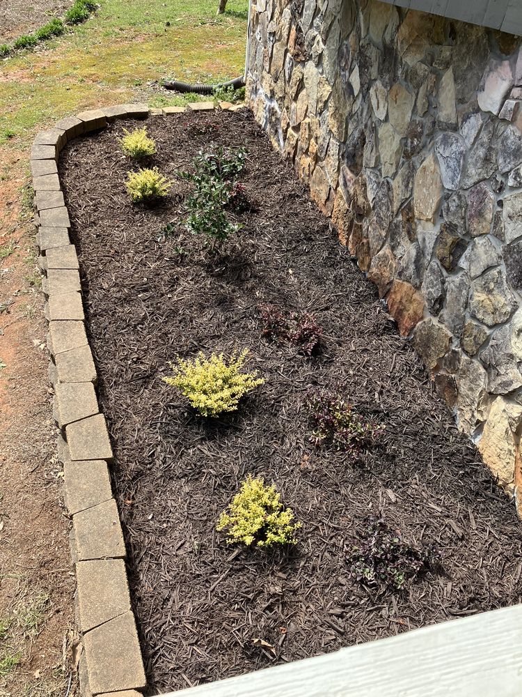 IMAGE LANDSCAPE SERVICES Updated September 2024 84 Photos 3134