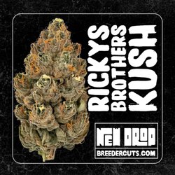 Clones On Fire - Ricky's Brother's Kush available now! Breedercuts.com