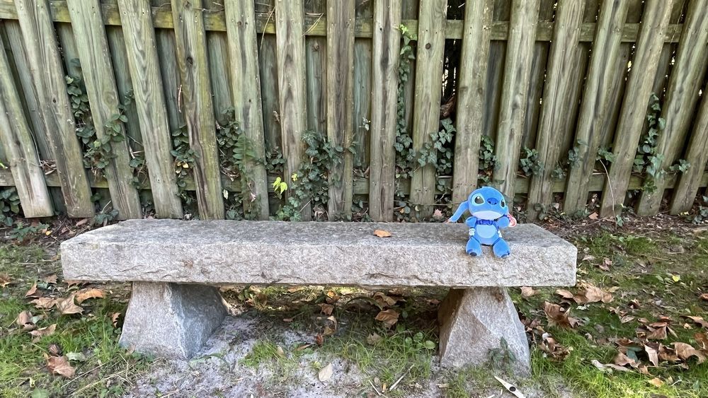 Social spots from Wells Japanese Garden