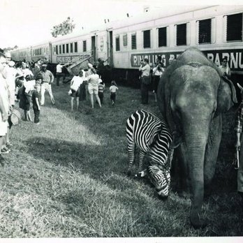 Circus Bridge - Circa: 1967 - Landmarks & Historical Buildings Near Me - South Venice, Florida Circus Bridge - Circa: 1967 - Landmarks & Historical Buildings Near Me - South Venice, Florida