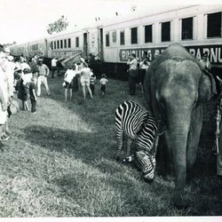 Circus Bridge - Circa: 1967
