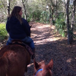 On the trail. On the trail.