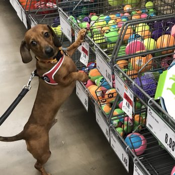 Pet Supplies Plus Goose Creek - Pet Groomers Near Me - Goose Creek, South Carolina