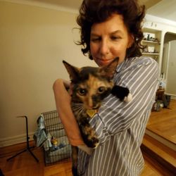 Cypress Feline Rescue - Linda is in her furever home!