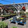 Photo of Shireman's Farm Market