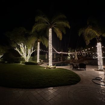 Be The Light Outdoor Lighting - Backyard bistro lights, lights wrapped on trees. Lights easily controlled via app on phone. - Electricians Near Me Be The Light Outdoor Lighting - Backyard bistro lights, lights wrapped on trees. Lights easily controlled via app on phone. - Electricians Near Me