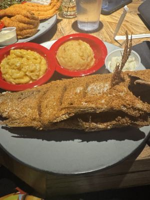 Frederick's Wine and Dine by null