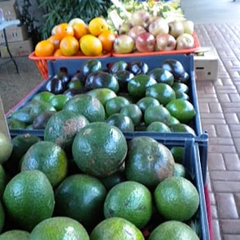 Manoa Farmers' Market - avocados, etc.... - Farmers Market Near Me - Honolulu, Hawaii Manoa Farmers' Market - avocados, etc.... - Farmers Market Near Me - Honolulu, Hawaii