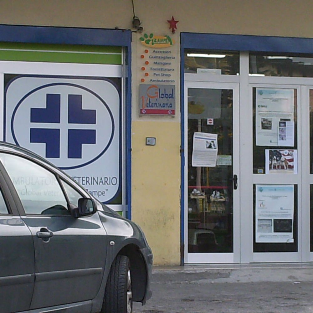 Fisiologia Veterinaria - Seconda Edizione | Tecniche Nuove, image size:1000x1000