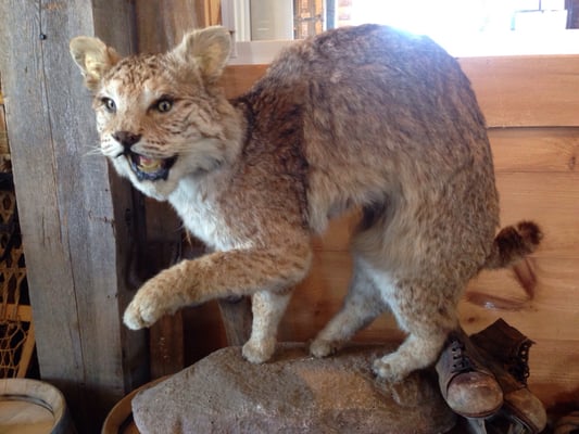 Clayton Distillery by null