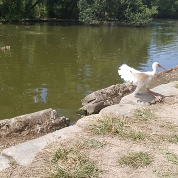 Audubon Park - Parks Near Me - New Orleans, Louisiana