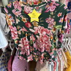 Stellie Bellies - New Port Richey