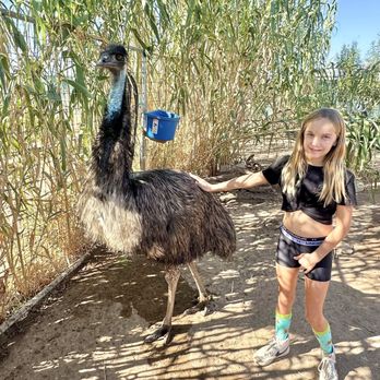 Ghost Ranch Exotics and Funny Foot Farm - Attraction Farms Near Me - Marana, Arizona Ghost Ranch Exotics and Funny Foot Farm - Attraction Farms Near Me - Marana, Arizona