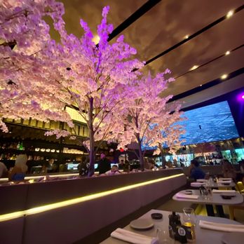 Paperfish Sushi - Inside - Sushi Bars Near Me - Miami, Florida