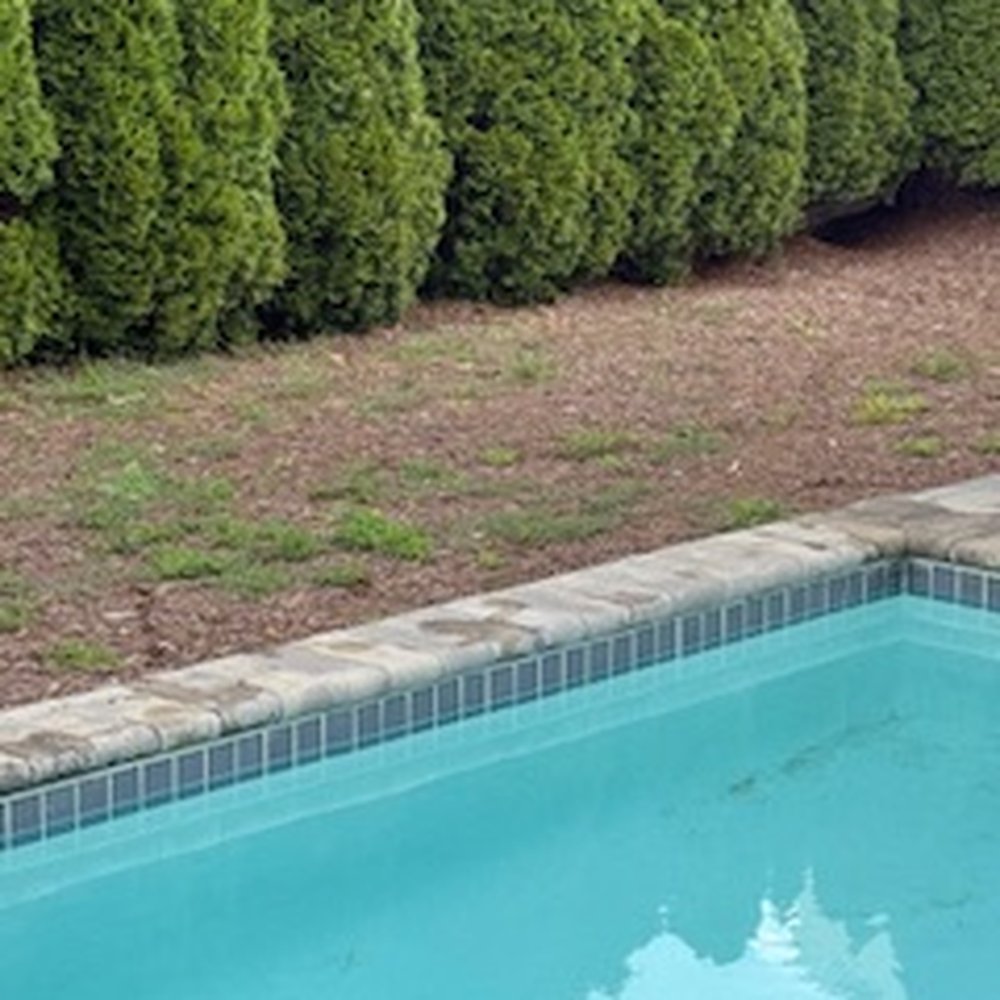 Remax Realty Group Beach Team - unkept pool area - Real Estate Agents Near Me - Rehoboth Beach, Delaware Remax Realty Group Beach Team - unkept pool area - Real Estate Agents Near Me - Rehoboth Beach, Delaware