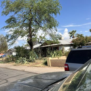 Tree Solution Pros - Tree Services Near Me - Surprise, Arizona Tree Solution Pros - Tree Services Near Me - Surprise, Arizona