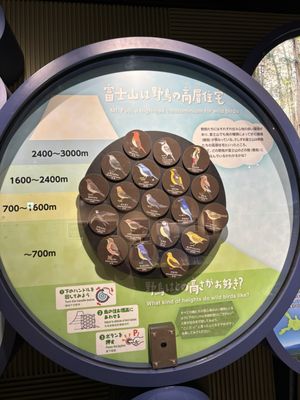 Fujisan World Heritage Center by null