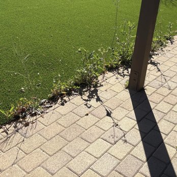 Biltright Turf - Weeds growing across the perimeter - Landscaping Near Me