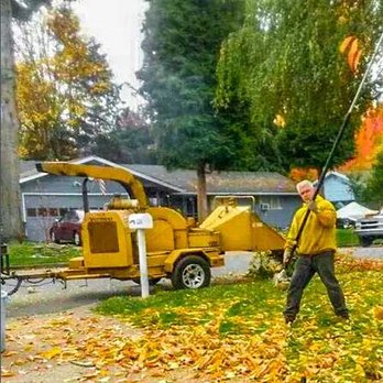 Alpha Tree Care - Hard At Work - Tree Services Near Me - Vancouver, Washington
