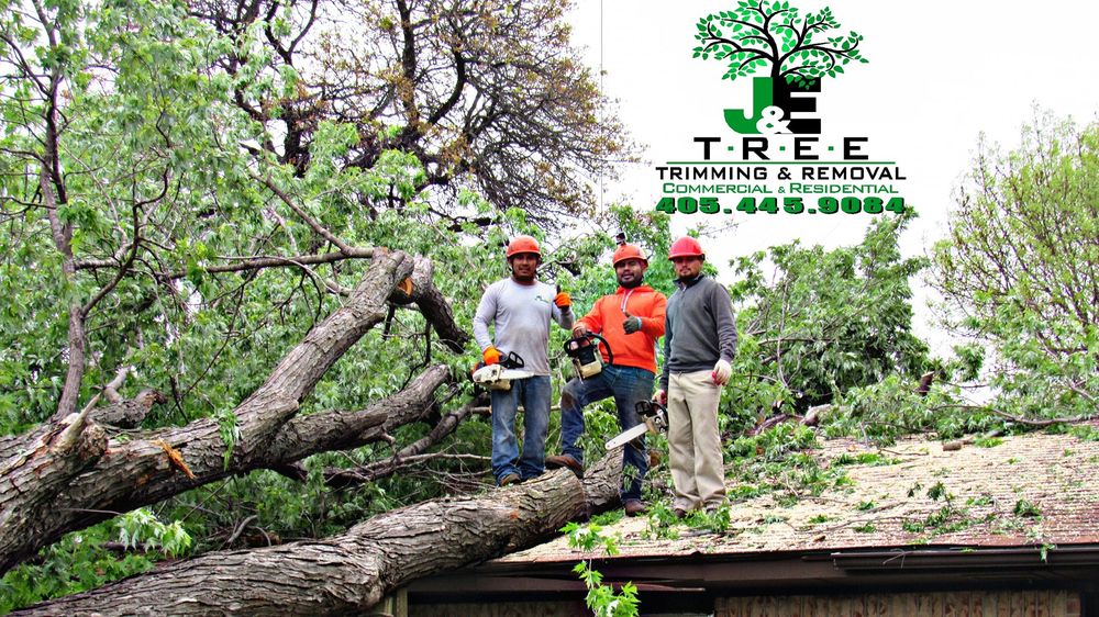 J&E Lawn Landscaping - tree service in Oklahoma city, OK