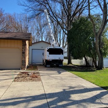 Bour Grounds Tree Service - Tree Services Near Me Bour Grounds Tree Service - Tree Services Near Me