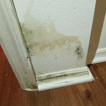 The Brittany - Black mold after Irma - Apartments Near Me - Indialantic, Florida The Brittany - Black mold after Irma - Apartments Near Me - Indialantic, Florida